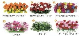 ローワイドプランター/TSハイビスカス　レッド装飾 フラワー 花 プランター 演出 パチンコ備品 送料無料