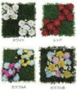 商品説明 無機質な壁面をグリーンで彩る！　造花を使用するので、お手入れいらずで通年使えます！ 商品名 壁面緑化ツール/造花：　カラフルB　サイズ：L 内容量 1個 サイズ W500×D60×H500mm カラー カラフルB 使用方法・使用上の注意 造花をフレームにはめ込むだけで完成です。 他の造花とも入れ替え可能です。 取付けは、取っ手をフックなどに引っ掛けるだけ！