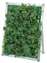 Fフラワーサインバックボードのみ グリーン 1台 装飾 パネルスタンド グリーン アピール 告知 パチンコ備品 送料無料