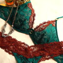 【送料無料】【ANDRES SARDA(アンドレサルダ)】スペイン、輸入、高級レース、ストレッチレース、セクシー、可愛い、ゴールドリング、グリーン、ブラウン、花...