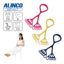 アルインコ直営店 ALINCOEXG163 フットストレッチチューブダイエット/健康 フィットネス健康器具 チューブ おうち時間 ホームジム おうちジム 宅トレ 家トレ