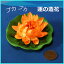 プカプカ 蓮(ハス)の造花(Sサイズ)ミニフラワーロータス【造花】オレンジ系