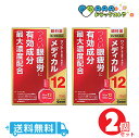 【第2類医薬品】サンテメディカル12 12mL/送料無料/2個セット【サンテ】