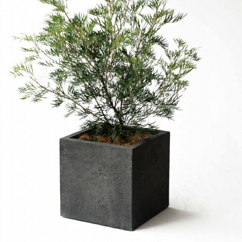 植木鉢四角プラスチックのおすすめ人気ランキング10選 植木鉢四角プラスチックのおすすめ人気ランキング10選