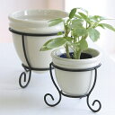 植木鉢 おしゃれ 陶器鉢 クリームポット&スタンド 2点セット<10cm 3号 7cm 2号 穴なし シンプル モダン ベージュ アイボリー スタンド 黒プラン...