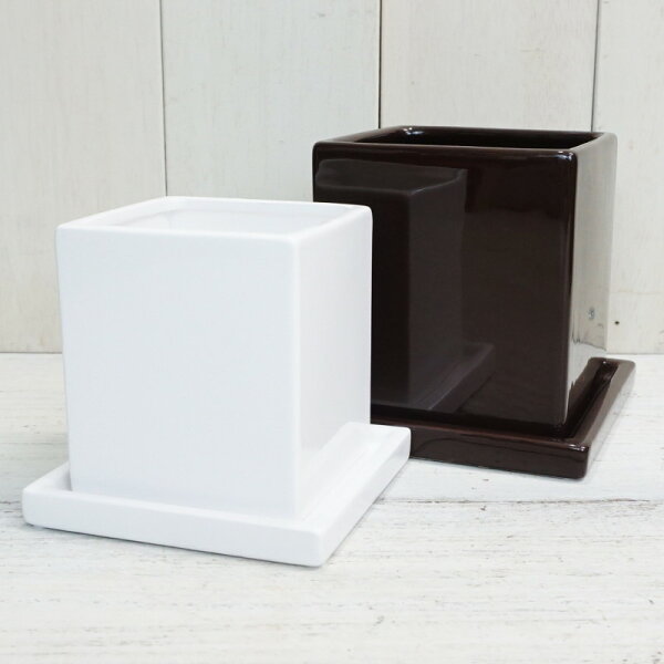 陶器鉢 おしゃれ 白 みんな探してる人気モノ 陶器鉢 おしゃれ 白 みんな探してる人気モノ