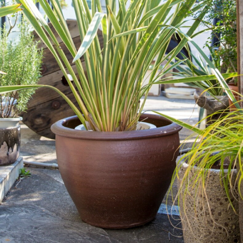 植木鉢 おしゃれ 大型 陶器鉢 タイ真焼カメ S＜ 41cm 13号 底穴なし 茶 ブラウン プランター 浅い 浅鉢 平鉢 睡蓮鉢 水鉢 メダカ鉢 金魚鉢 寄せ植え 屋外 陶器 鉢 特大 大きめ ガーデニング 室内 植え替え 鉢植え 園芸 観葉植物 多肉植物 塊根植物 サボテン 人工観葉 花 ＞