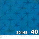 Grunge Seeing Stars-30148-40(2E-09) ブルー テクスチャ柄 星柄 ヴィンテージ風 ラッカープリント コットン100％ シーチング 