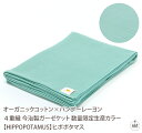 ガーゼケット(数量限定生産カラー)【HIPPOPOTAMUS】ヒポポタマス|シーツ|シングル|敷布|ソファーカバー|今治タオル|今治|タオル|日本製|無地|オー...