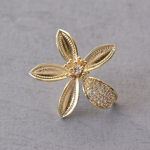 WACKO MARIA (ワコマリア) キスブローチ WACKO MARIA（ワコマリア）の「WACKO MARIA“KISS ME BROOCH”＜STAR