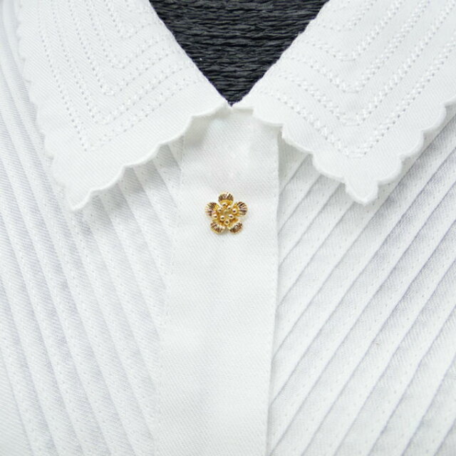 �����������ߤ˥⡼�ɥԥ� �߸� �ͥ����� �ԥ�֥����� �ץ��ץ��ե� �⡼�ɥԥ�