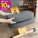 【ポイント10倍! 5/9 20:00〜】プロポーションチェア用補助クッション(本体別売り) 幅46×奥行25.5〜103×高さ5.5cm アクリル 合板 ウレ...