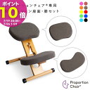 プロポーションチェア用替えクッション 本体別売り 座面クッション 膝クッション 修繕 リペア 交換部品 2個セット 学習椅子 デスクチェア オフィスチェア おしゃれ カバー パソコンチェア コンパクトキッズチェア cn-8hn【北海道・沖縄・離島以外送料無料】