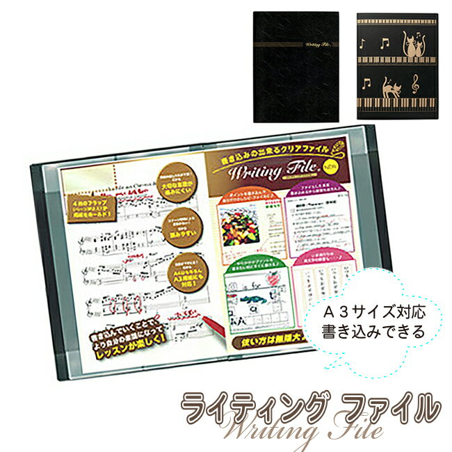 ライティングファイル 音楽シリーズ A4 A3 ブラスバンド ト音記号 鍵盤 楽譜入れ 楽譜ファイル ピアノ バイオリン 習い事 吹奏楽 合唱 声楽 ナカノ楽器 中埜 フォルダー ホルダー レッスン ファイル あす楽のサムネイル