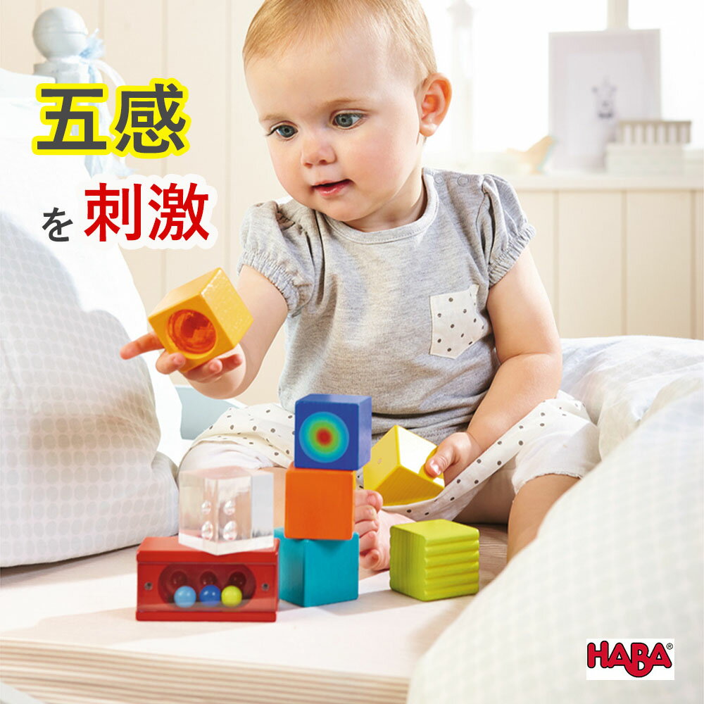 ハバ 積み木 HABA ハバ ディスカバリーブロック・ファニーカラー HA302573 木製 知育遊び 知育玩具 おもちゃ 男の子 女の子 プレゼント 誕生日 1歳 2歳 3歳 ギフト 人気 積木 積み木 つみき 出産祝い 孫