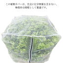 農業用 園芸野菜栽培 園芸工具 害虫鳥避け 害虫鳥避け ネット 多用途 通気性 光通過 ナイロン製 穴極細 防虫 防虫ネット