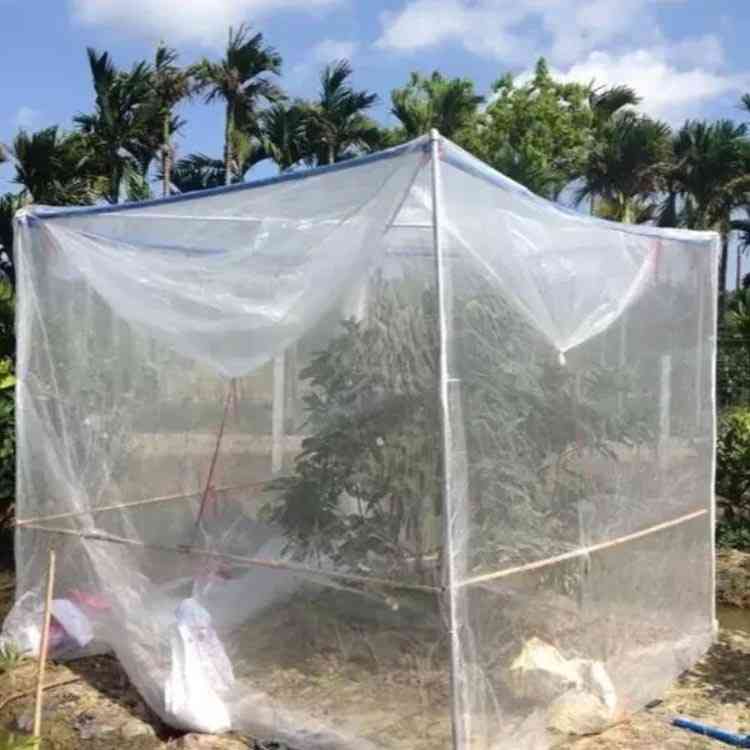 農業用 園芸野菜栽培 園芸工具 害虫鳥避け 害虫鳥避け ネット 多用途 通気性 光通...