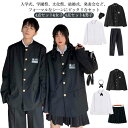 制服 学生服 スクール 上下セット 4点セット 卒業式スーツ 女子 レディース メンズ コス ジャケット スラックスパンツ スカート 高校制服 秋冬 スーツ 上着 パンツ 学生ズボン ネクタイ シャツ 中学生 入学式 男子 高生 男装 仮装 学校 高校生 応援団 学生服 コスチューム