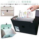 ファイルケース バッグ型 大容量 アコーディオン式 プリント収納 ドキュメント 13ポケット メンズ レディース 防水 シンプル 持ち運べる 領収書 ドキュメン...