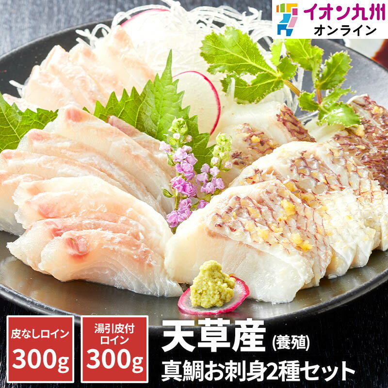 【最大500円OFFクーポン配布中♪5/9 20:00~5/16 9:59】 刺身 熊本県 天草産 真鯛 養殖 お刺身用セット 苓南 タイ 鯛 真鯛 お刺身 セット 盛り合わせ お取り寄せグルメ