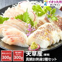 【最大500円OFFクーポン配布中♪4/24 20:00~4/30 9:59】 刺身 熊本県 天草産 真鯛 養殖 お刺身用セット 苓南 タイ 鯛 真鯛 お刺身 セット 盛り合わせ お取り寄せグルメ