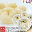 【P3倍★5/5 0:00~5/7 9:59】 らっきょう 国産 甘らっきょう 4点セット カレー 漬け物 グルメ お取り寄せグルメ おつまみ 付け合わせ イオ...