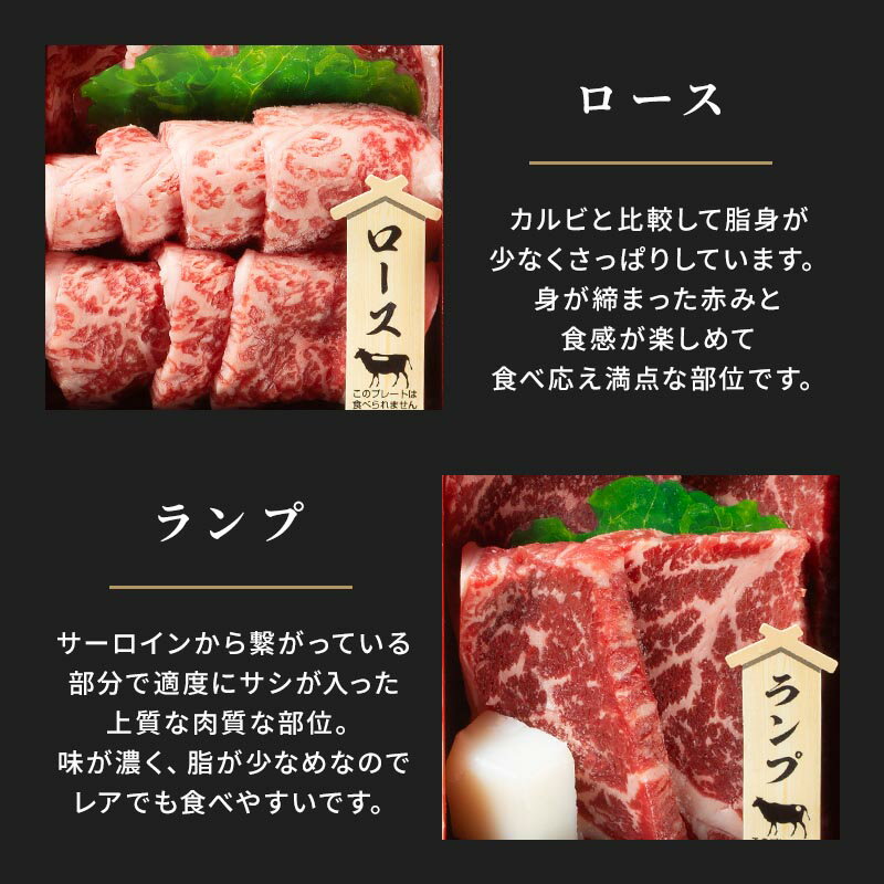 【最大700円OFFクーポン配布中★~5/279:59】佐賀牛焼肉盛り合わせ(佐賀県産黒毛和種)