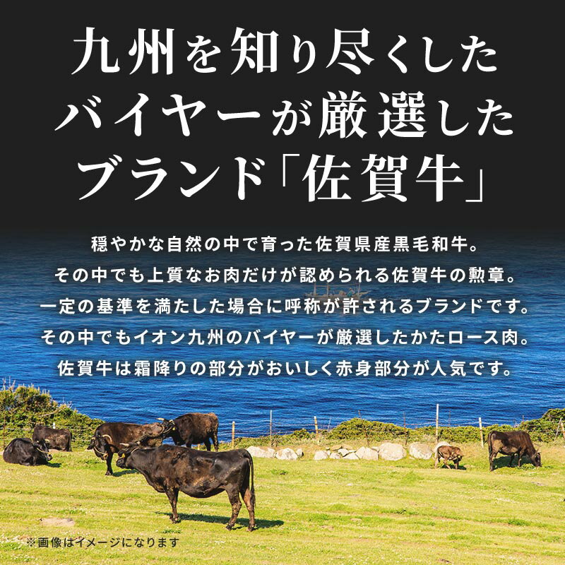 【最大700円OFFクーポン配布中★~5/279:59】佐賀牛焼肉盛り合わせ(佐賀県産黒毛和種)