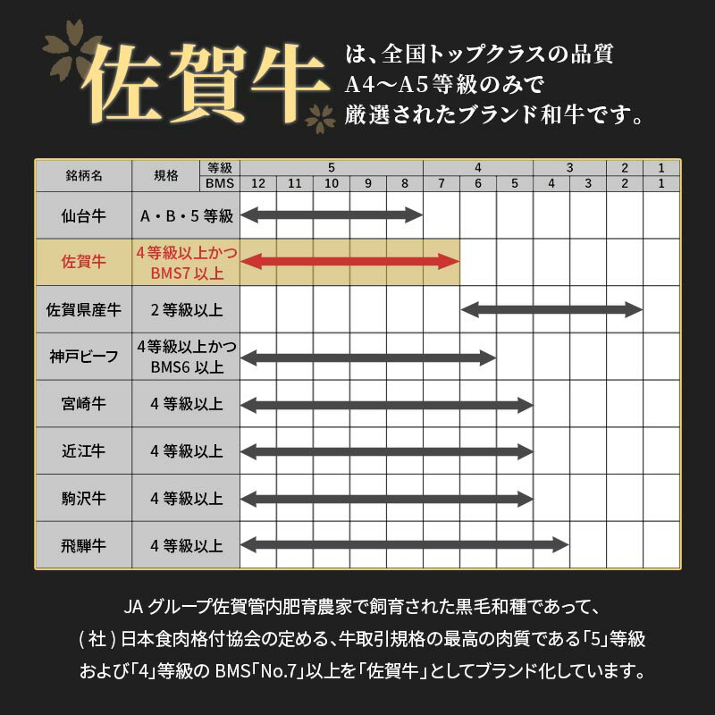 【最大700円OFFクーポン配布中★~5/279:59】佐賀牛焼肉盛り合わせ(佐賀県産黒毛和種)