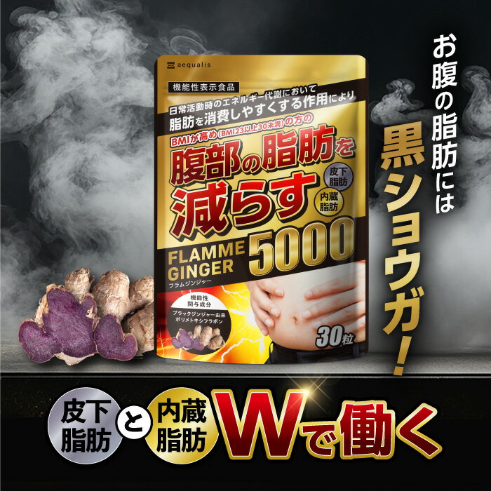 脂肪を減らすダイエットサプリ フラムジンジャー 30日分 カプサイシン カテキン L-カルニチン BCAA 内臓脂肪 皮下脂肪 機能性表示食品 サプリメント 国内製造 送料無料