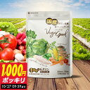 【1日は抽選で★全額ポイントバック★要エントリー】国産 野菜サプリ 栄養 で選ぶなら 『 ベジーグッド vegegood 1ヶ月分』 1日分の ビタミン A B1 C E 純国産 野菜 果物 サプリメント スーパーフード 健康 やさい 野菜不足 野菜嫌い 1000円ポッキリ 送料無料