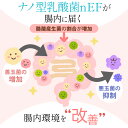 afc:10033813のサンプル画像3