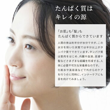 プロテイン配合 ホエイ カゼイン AFC プロテインパンケーキミックス 240g