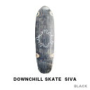 DOWNCHILL SKATE _E` XP[g SIVA N[U[fbL XP[g{[h