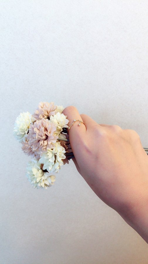 星座 Crystal Ring (かに座/しし座)　アクセサリー　リング　指輪　クリスタル　か...