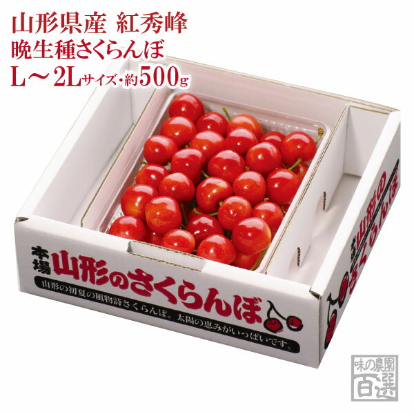 さくらんぼ 紅秀峰バラ詰約500g L〜2Lサイズ（72-C）