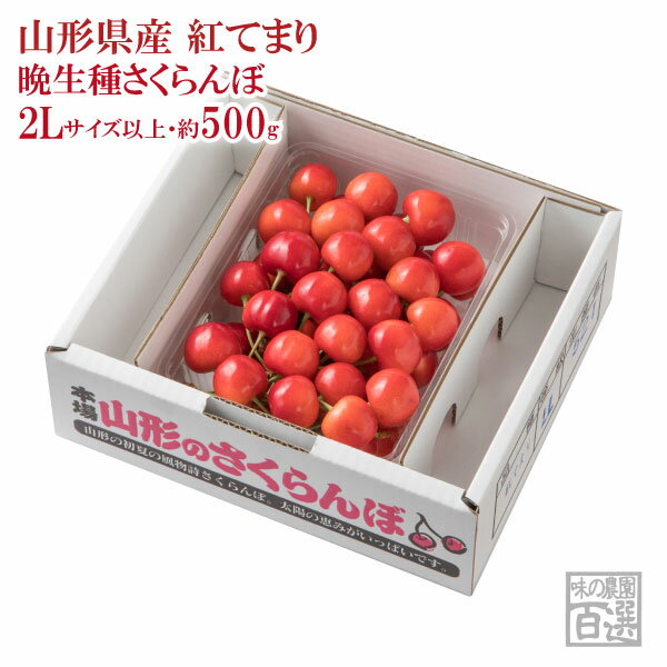 さくらんぼ 紅てまり バラ詰約500g 2Lサイズ以上（72-D）