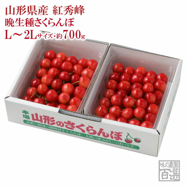 この商品は「6月末頃〜」の発送となります。 露地栽培のさくらんぼは、天候により収穫及び発送状況が変わります。 そのため、お届け日の指定を承ることが出来かねますのでご了承ください。不在期間が明らかで避けてほしい日がある場合は、メール、電話、ファックス でご連絡ください。 離島へのお届けは、天候等によりお届けまでお日にちがかかる場合があり、商品の性質上、品質の保証が難しいことからお断りしております。ご了承ください。 産地直送ですので、他の商品と一緒のお届けは出来ません。 お届け先と商品が同じ場合は2箱まで同梱できます。 3箱以上のご注文の場合は、品質管理のため2つに分けて発送します。 お中元熨斗を付けてお届け致します。（熨斗は、金色のシールタイプになります） メッセージカードは、対応しておりません。 箱のデザインは写真と変わる場合がございます。ご了承ください。 会員の方は、商品購入時に次回のお買い物に使えるポイントが付与されます。 内容量 約700g（約350g×2）・L～2Lサイズ 産地 山形県 保存方法 お届け後すぐに冷蔵にて保存 お届け方法 クール便 賞味期限 2〜3日以内にお召し上がり下さい。 販売期間 7月3日の9：00まで受付 送料 送料無料(沖縄県を除く) ※沖縄県のみ送料1,500円が加算されます。 さくらんぼは沖縄県本島のみ、お届けが可能です。 お届け先を沖縄県本島にてご注文頂いた場合は、ご注文後に送料を加算した料金をお知らせいたします。 商品保証について 【届いたら、必ずその日のうちに開梱して下さい】 到着後、すぐに商品の状態をご確認下さい。 （生ものですので、時間がたつと必ず劣化します。） 商品には万全を期しておりますが、あきらかな腐敗・過度な傷み等の問題が合った場合、代品等の対応をさせて頂きます。 【お客様へのお願い】 商品発送後3日以内に、商品の状態がわかる画像を添えてメールにてご連絡下さい。 期日を過ぎた場合や画像のない場合、代品等の対応が出来ません。予めご了承下さい。 ●お客様都合の不在などで商品到着日当日にお受け取り頂けず、商品に不具合が発生した場合、当店では責任を負いかねますので、ご了承下さい。 ●大きさや味について、イメージと異なる等の主観的理由についての返品・交換は承っておりません。ご了承下さい。 その他 さくらんぼは非常に繊細な果物です。検品を十分にし万全な状態で出荷しておりますが、果物の性質上、輸送中の振動などで若干の表面のこすれや果汁漏れがある場合がございます。何卒、その旨ご理解・ご了承下さいました上でご購入頂きますよう、お願いします。 商品番号 72-WO