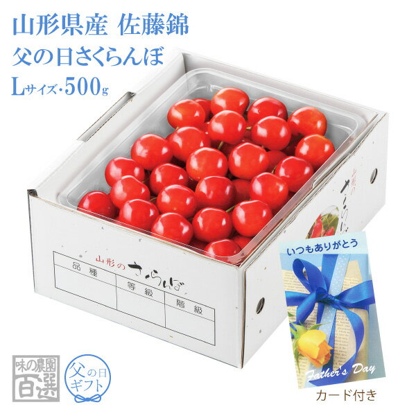 父の日さくらんぼ佐藤錦 バラ詰約500g Lサイズ(71-A)のサムネイル