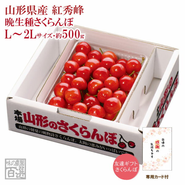 友達ギフトさくらんぼ 紅秀峰バラ詰 約500g L～2Lサイズ（67-S）【山形産/さくらんぼ/サクランボ/送料無料/贈答用/お中元】