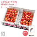 さくらんぼ 友達ギフトさくらんぼ 露地栽培 最盛期佐藤錦バラ詰1kg Lサイズ(67-Y)【山形産/さくらんぼ/サクランボ/送料無料/贈答用/お中元】