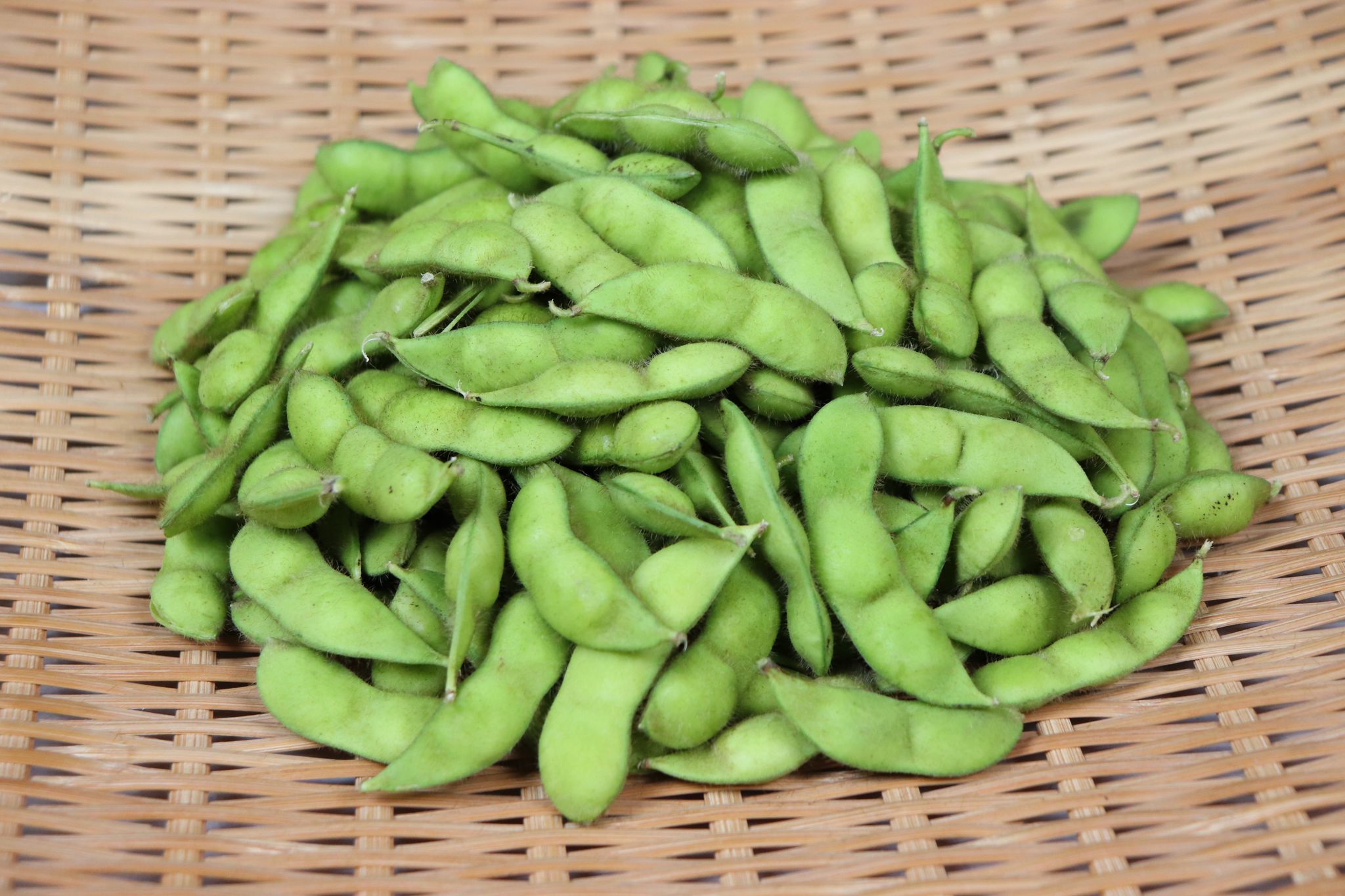 早生白山だだちゃ豆 約2.4kg（66-K）