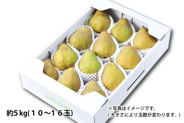 山形の洋梨 シルバーベル 極上大玉 約5kg 化粧箱入（07-V）のサムネイル