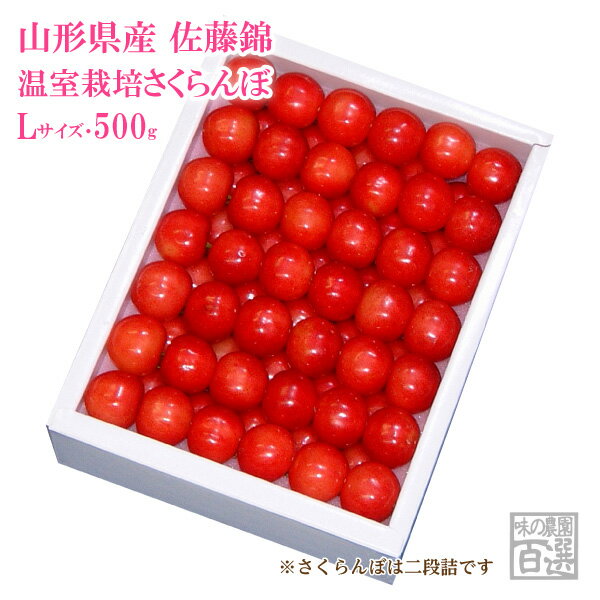 温室さくらんぼ佐藤錦 化粧箱 約500g Lサイズ（70-B）