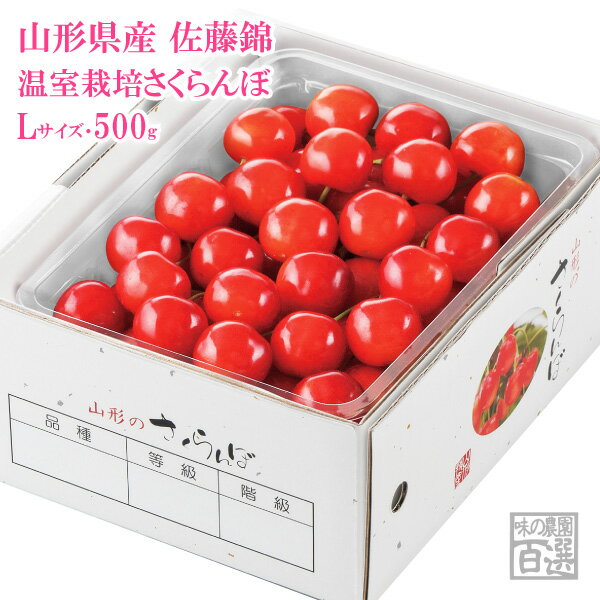 温室さくらんぼ佐藤錦 バラパック 約500g Lサイズ（70-S）