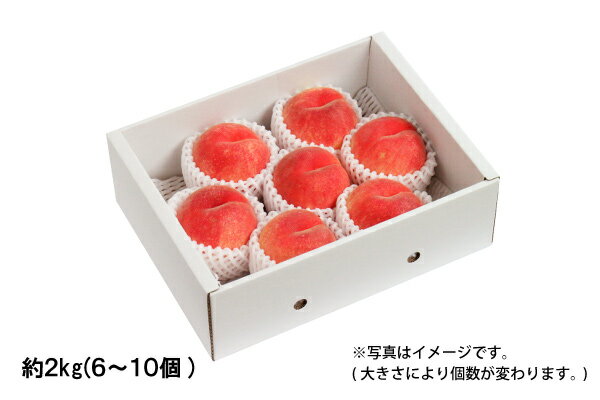 山形の白桃 ギフト用【8月上旬お届け】 約2kg／6～10個（05-R）