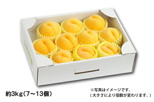 乐天商城 - 山形の黄桃 ギフト用【8月下旬以降】約3kg／7～13個（05-Q）
