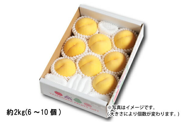 山形の黄桃 ご自宅用 約2kg／6〜10個（25-D）