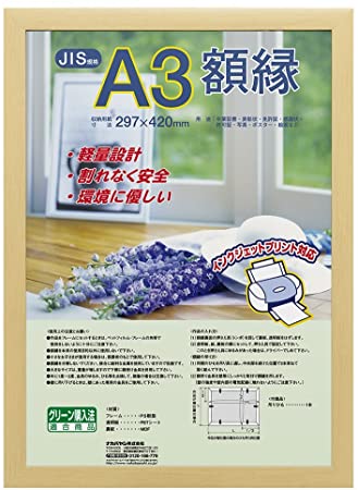 乐天商城 - ナカバヤシ 樹脂製軽量額縁 木地 A3(JIS規格) フ-KWP-60