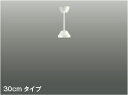 AEE590022 インテリアファン延長パイプ (コイズミGシリーズ)300mmタイプ コイズミ照明 照明器具